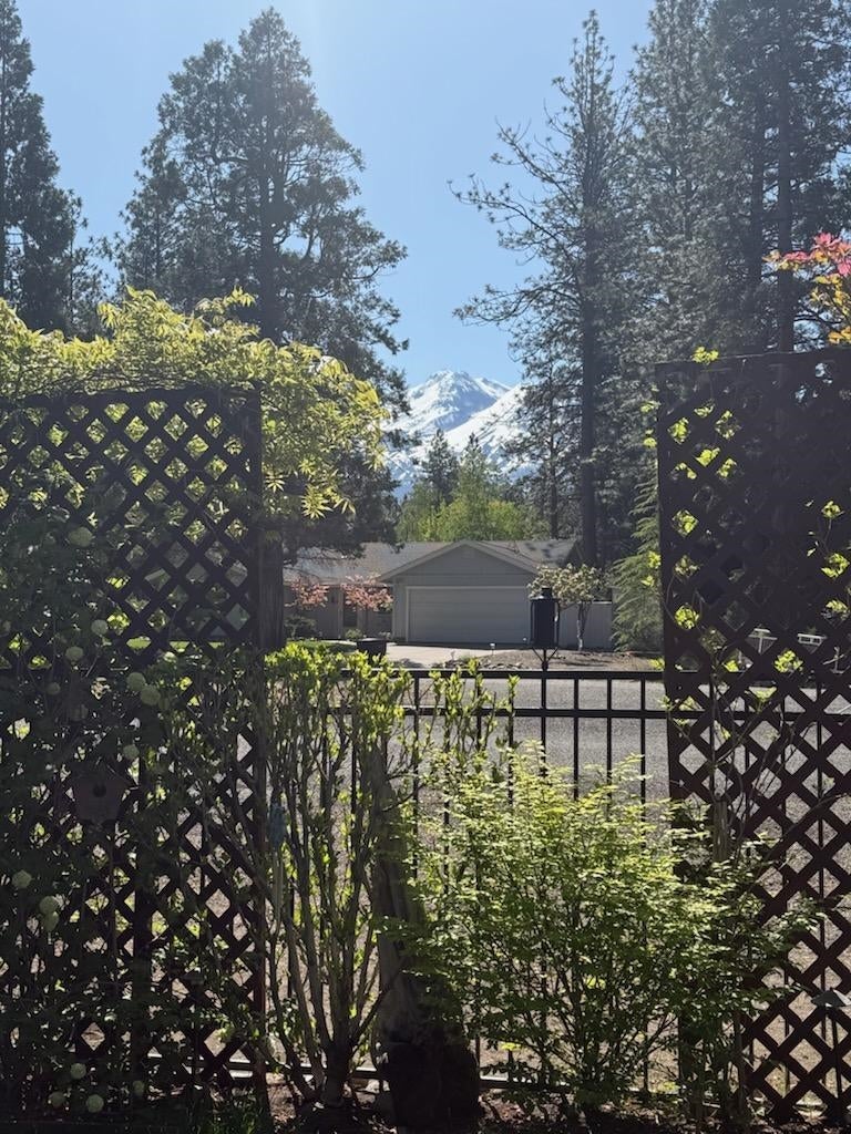 17501 Grizzly Den Road Weed, CA 96094 - Photo 50 of 50 Gallery Image 50