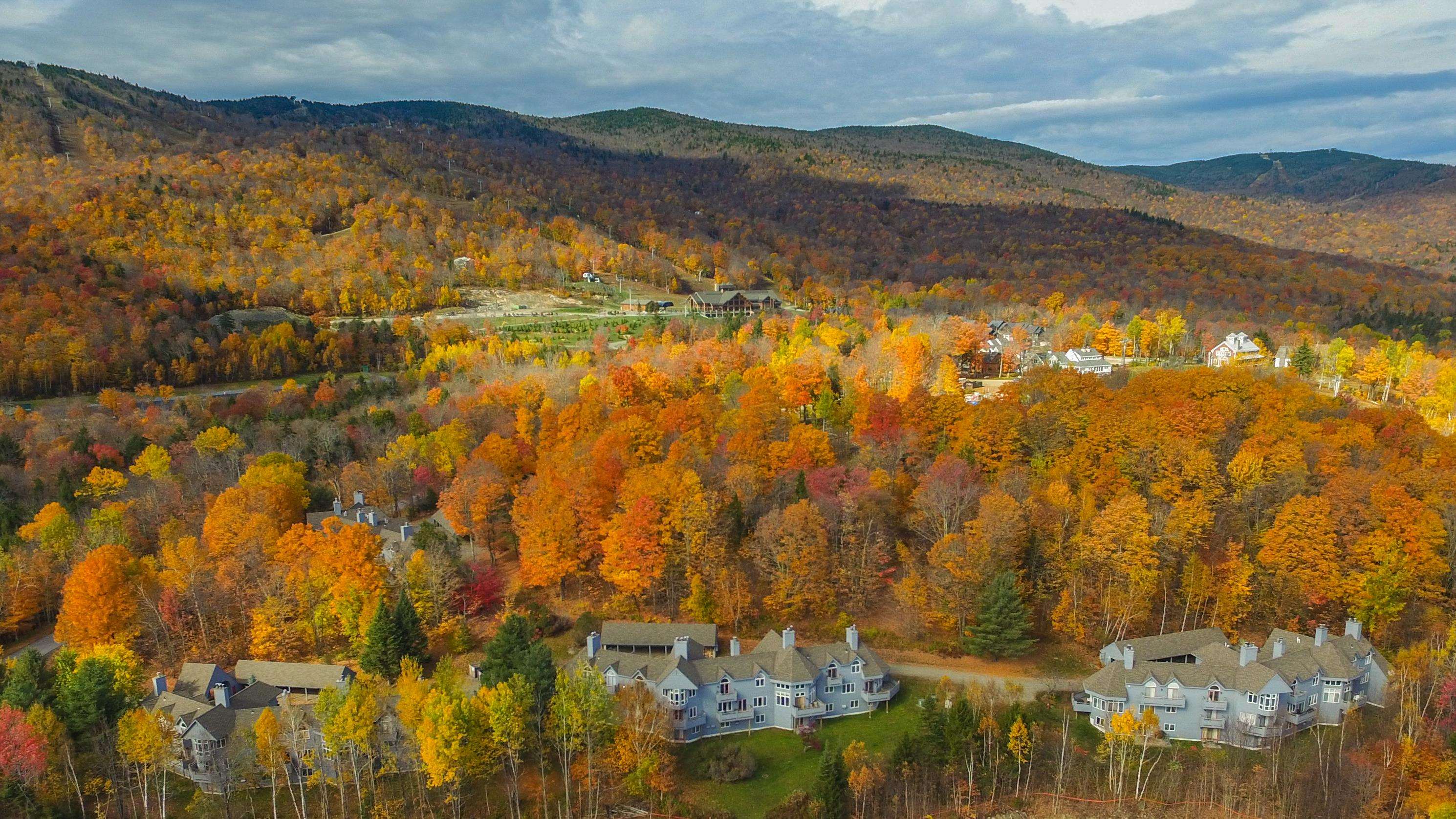 15 Haymaker Lane, Unit 6D Wilmington, VT 05363 - Photo 19 of 19