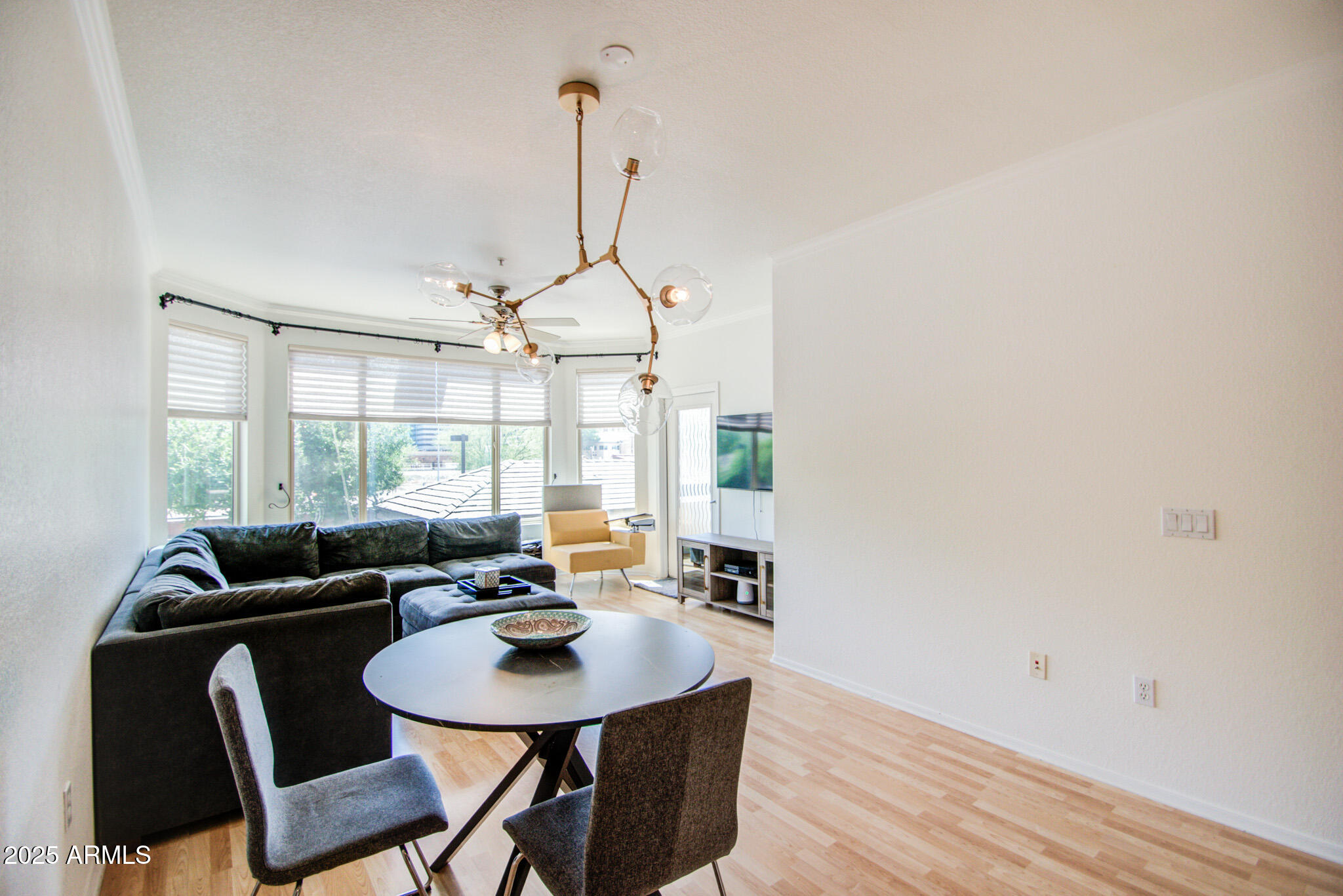 435 West Rio Salado Parkway, Unit 208 Tempe, AZ 85281 - Photo 3 of 38 LIVING ROOM 2