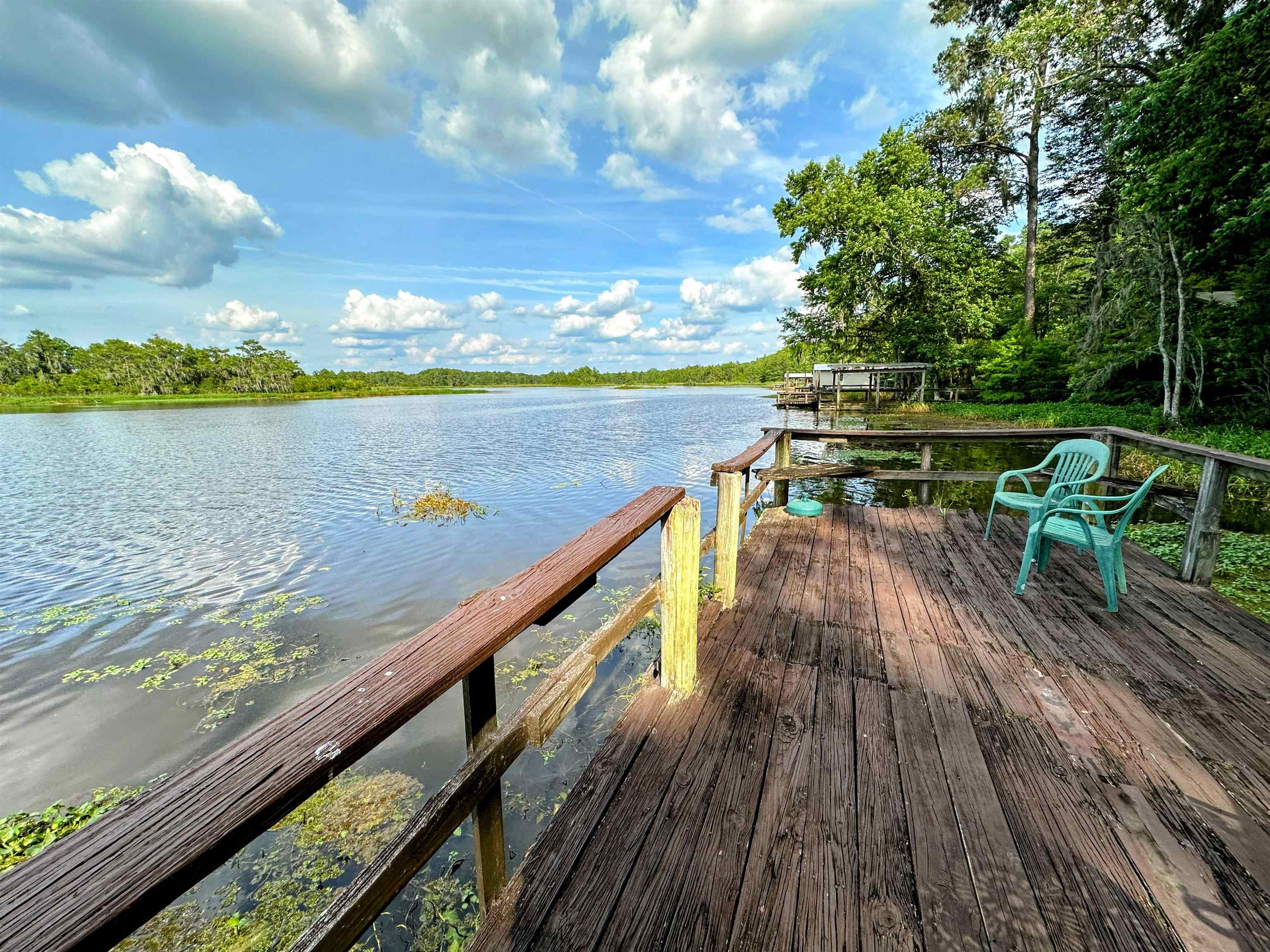 1128 Coe Landing Road Tallahassee, FL 32310 - Photo 5 of 38 Gallery Image 5