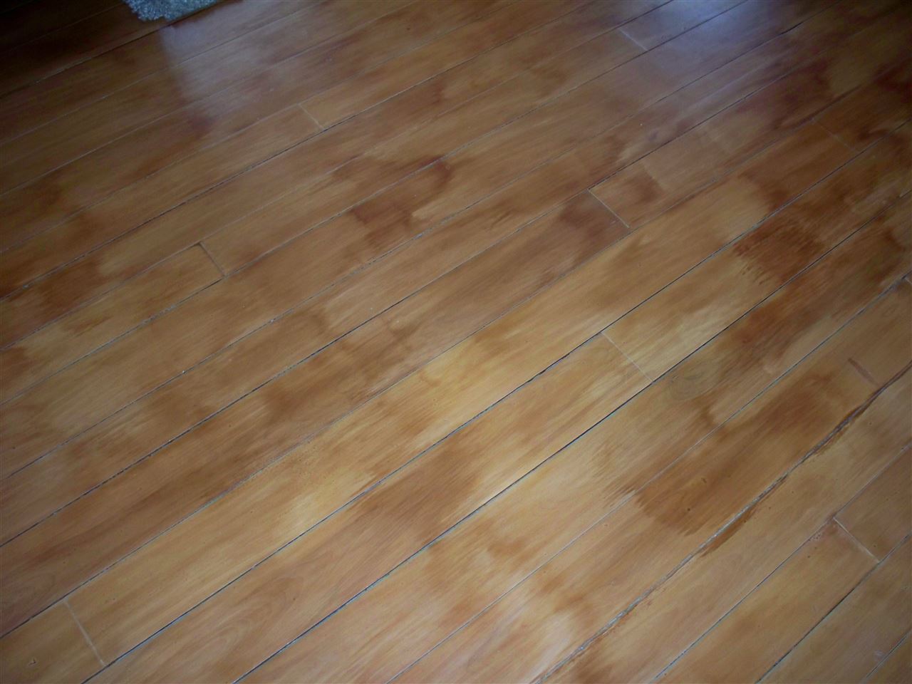 264 E Road Poultney, VT 05764 - Photo 20 of 39 Gallery Image 20