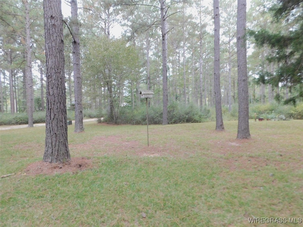 28374 Harbor Road Andalusia, AL 36421 - Photo 14 of 29 Gallery Image 14