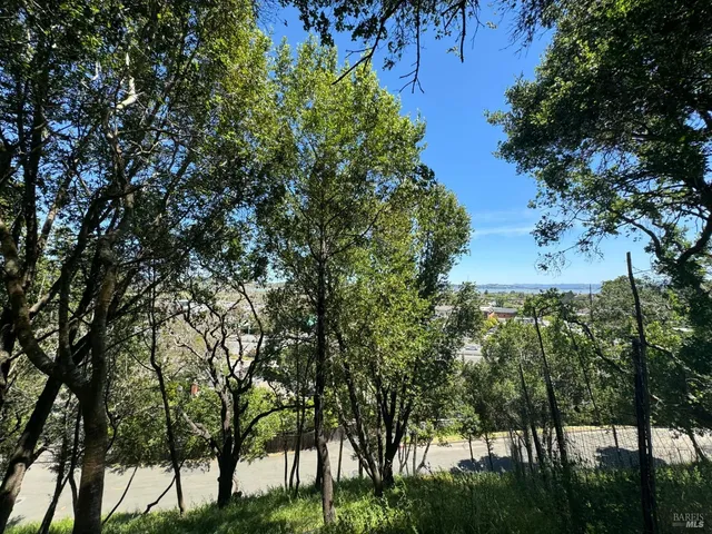 a view of a city with lush green forest