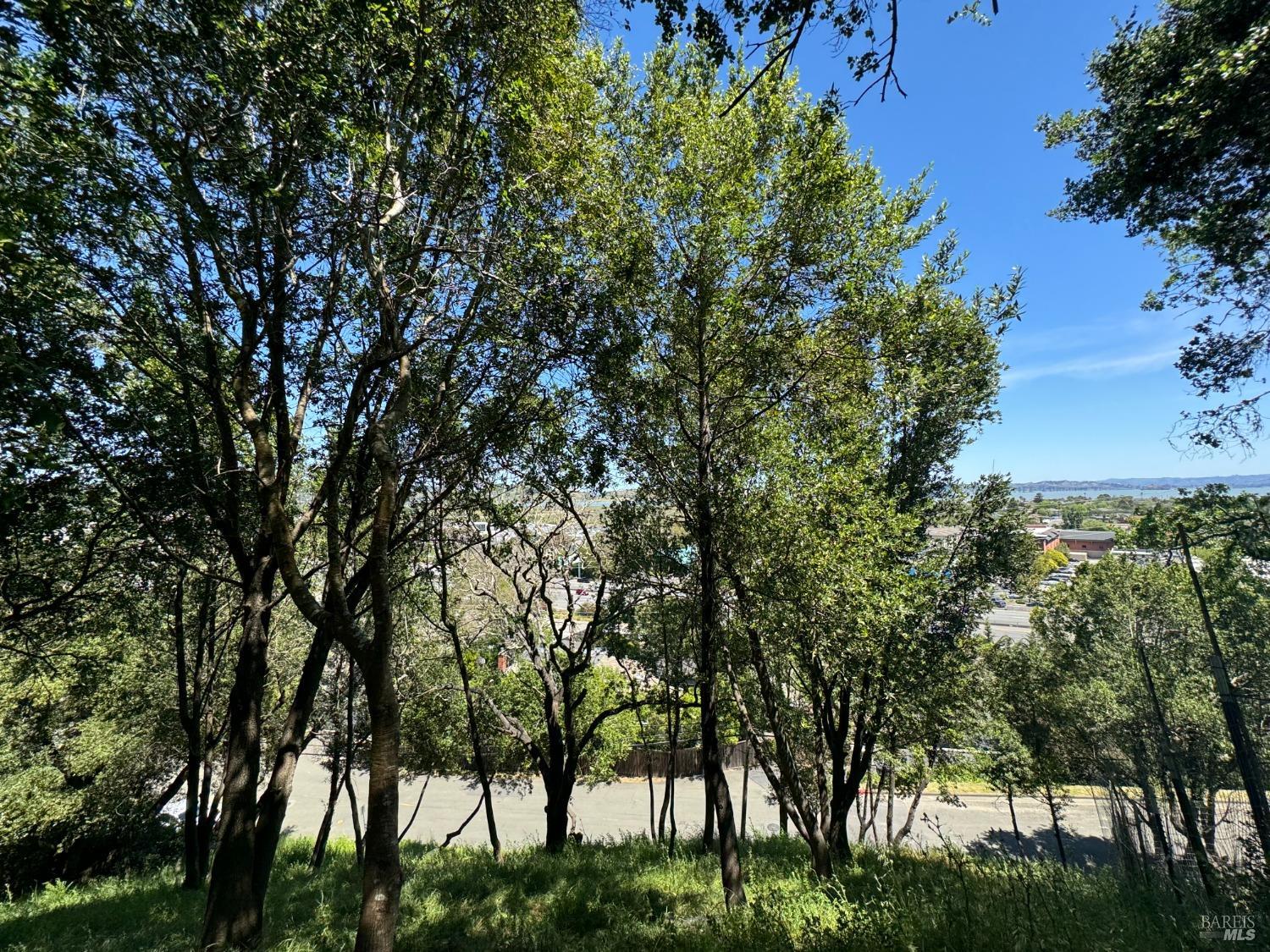 0 Meadowsweet Drive Corte Madera, CA 94925 - Photo 14 of 44 a backyard of a house with lots of green space