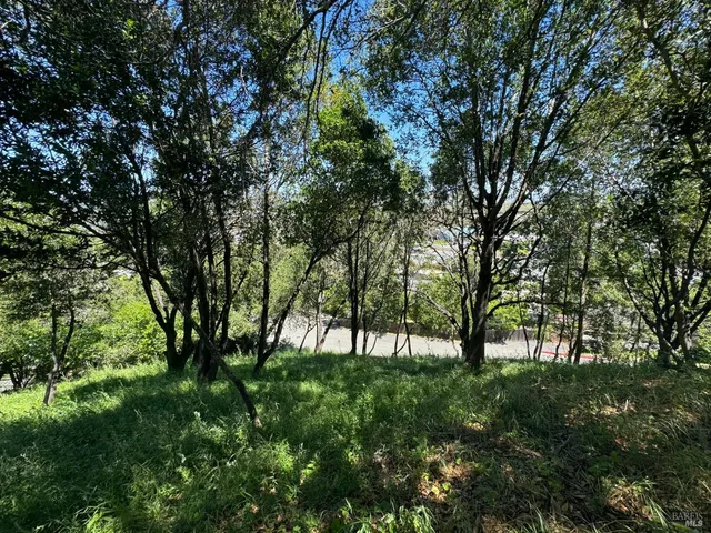 a view of yard with green space