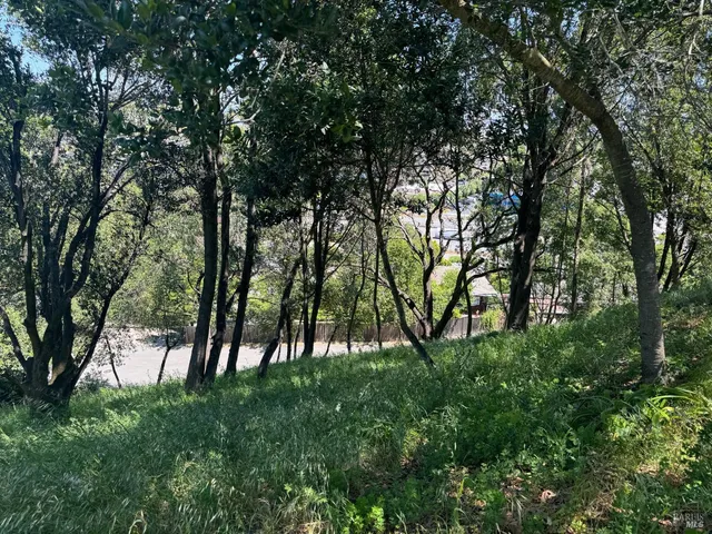 a view of outdoor space