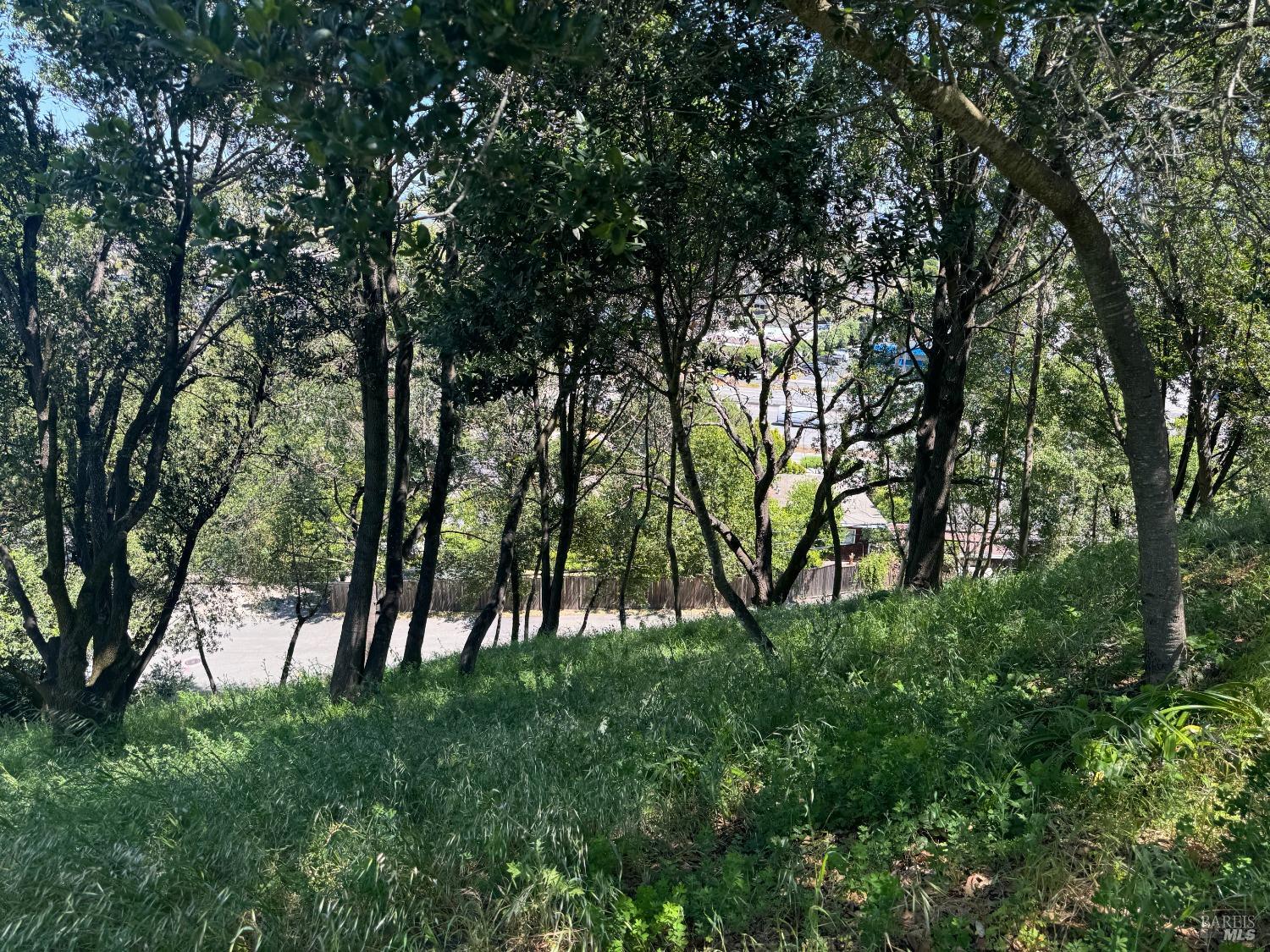 0 Meadowsweet Drive Corte Madera, CA 94925 - Photo 20 of 44 a view of outdoor space