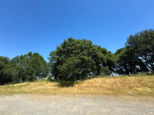 a view of a yard with a tree
