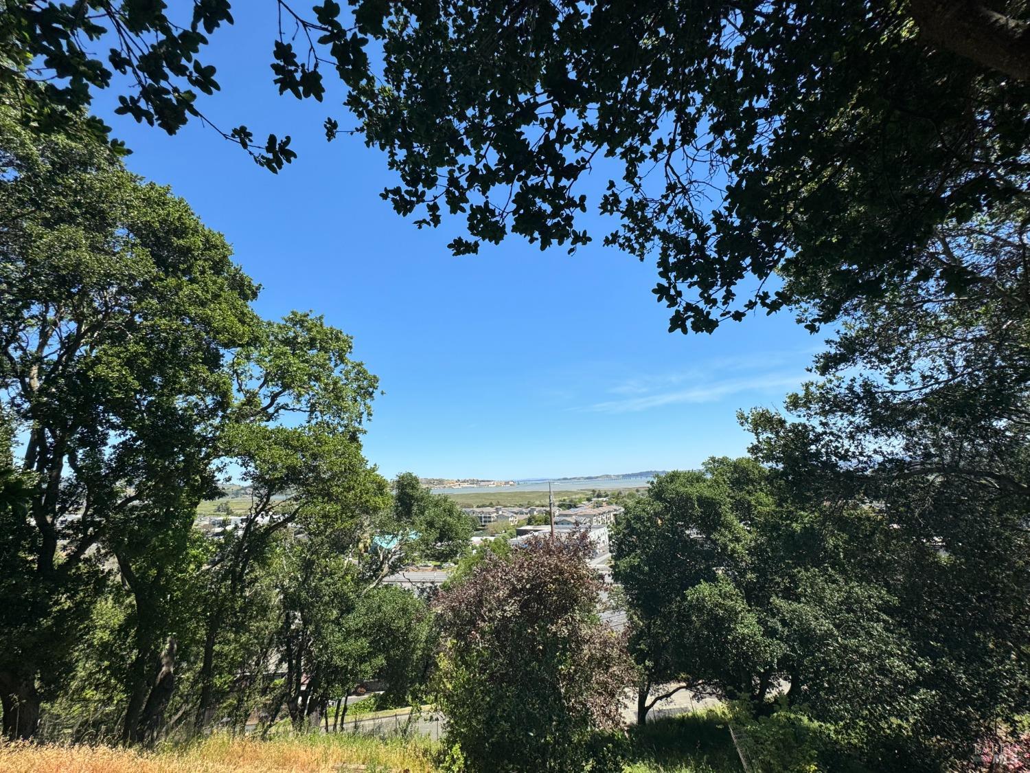 0 Meadowsweet Drive Corte Madera, CA 94925 - Photo 33 of 44 a view of a tree with a tree in the background