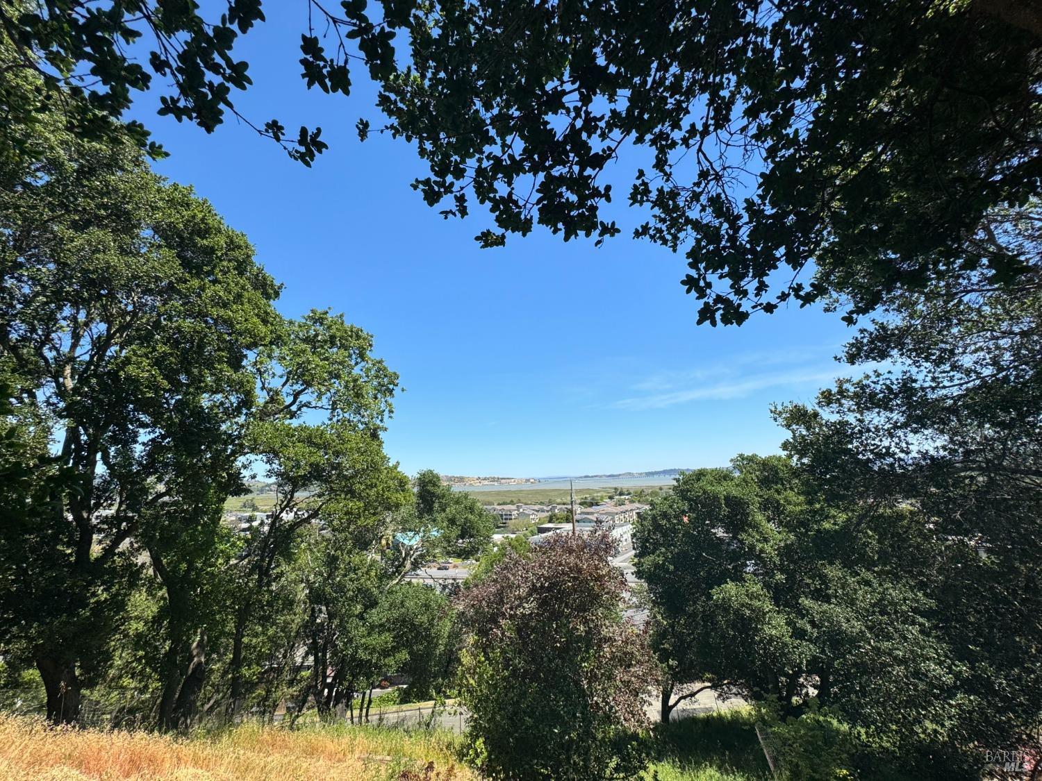 0 Meadowsweet Drive Corte Madera, CA 94925 - Photo 34 of 44 a view of a tree with a tree in the background