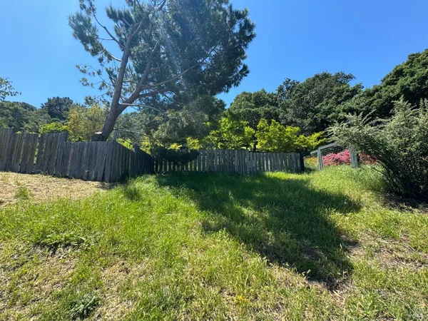 a backyard of a house with lots of green space