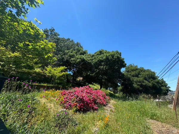 a view of backyard with wooden fence