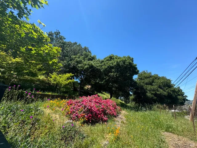 a view of backyard with wooden fence