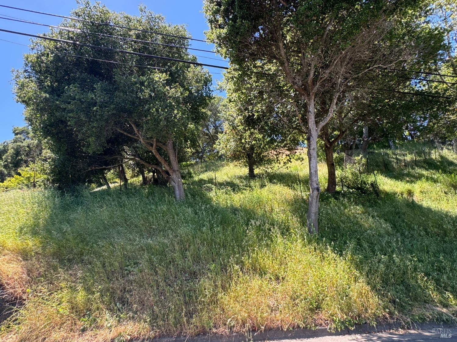 0 Meadowsweet Drive Corte Madera, CA 94925 - Photo 40 of 44 a view of lake