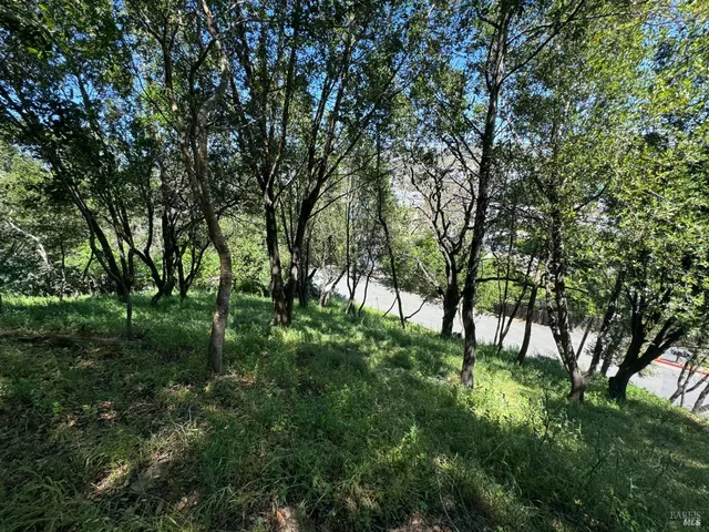 a big yard with lots of green space and trees