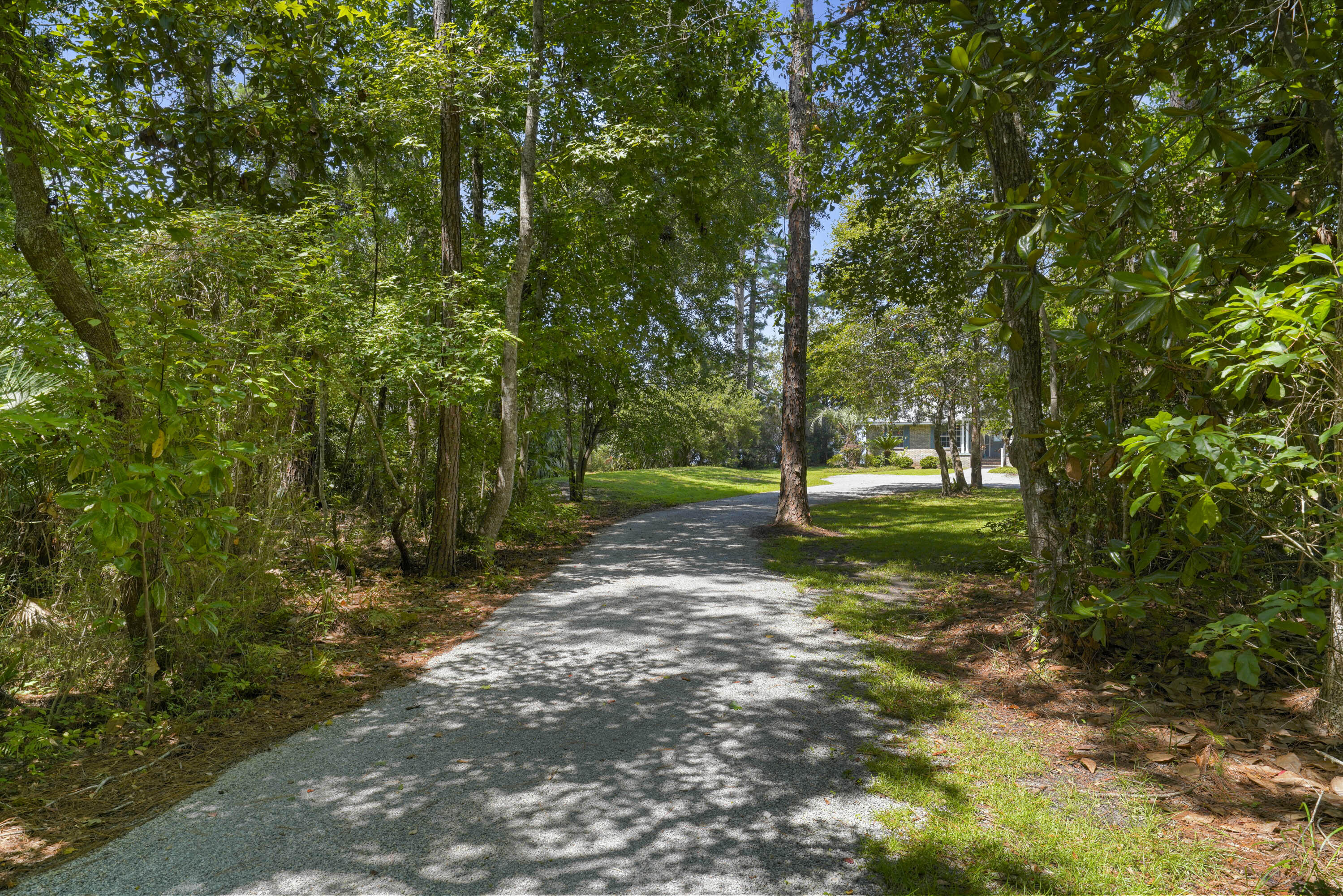 94 George Ellis Point Road Freeport, FL 32439 - Photo 51 of 63 a view of a park with large trees