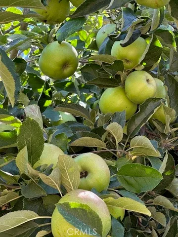 a view of an outdoor space and yard