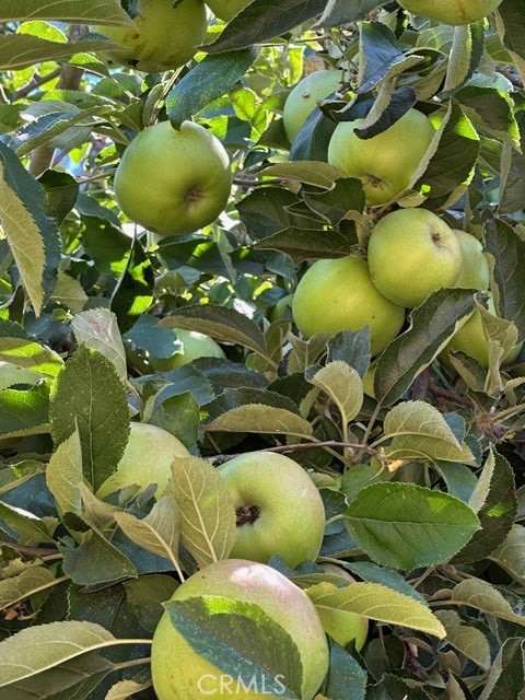 0 Old Creek Road Cayucos, CA 93430 - Photo 12 of 19