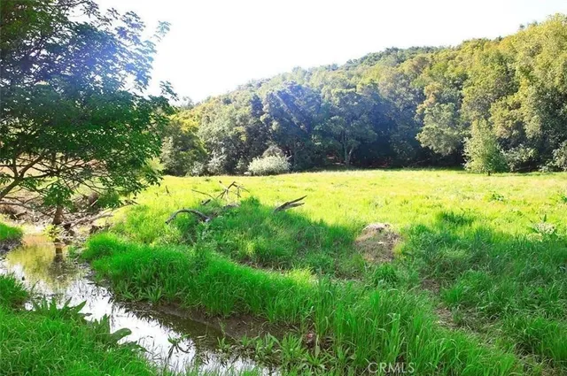 a view of a backyard of the house