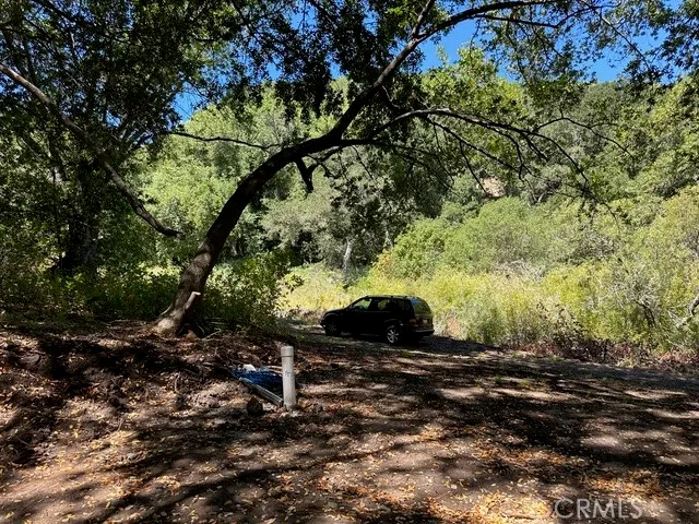 a view of an outdoor space and a yard