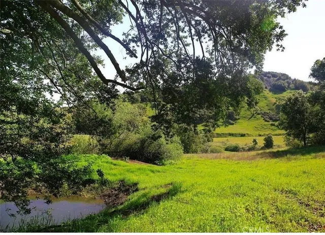 a view of swimming pool and garden