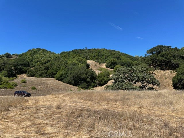 0 Old Creek Road Cayucos, CA 93430 - Photo 7 of 19 a view of a backyard of a house
