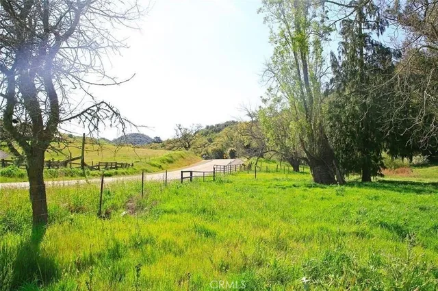 a view of yard with green space