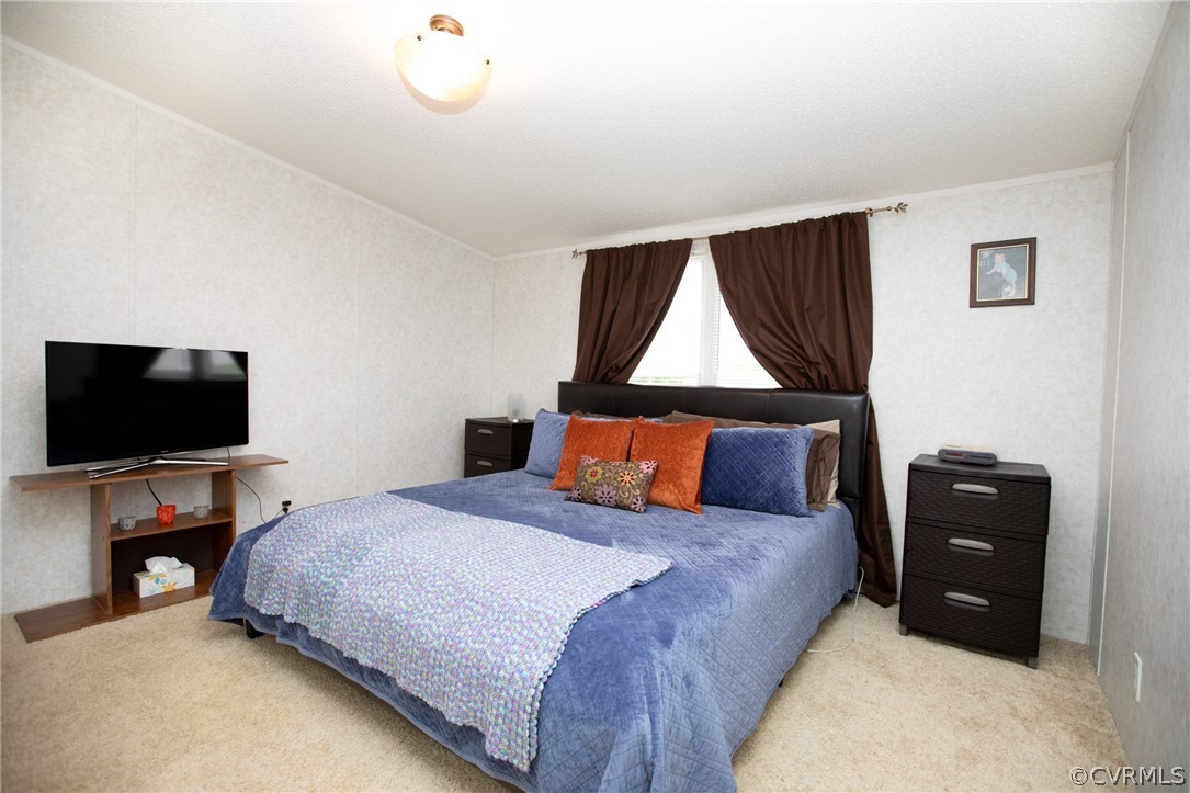 253 Rhodies Road Prospect, VA 23960 - Photo 20 of 38 a bedroom with a bed and a flat screen tv