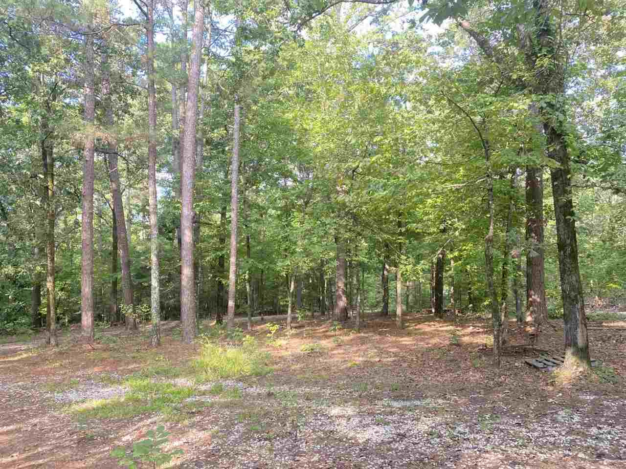 147 Dobbs Road Gore Springs, MS 38929 - Photo 23 of 25 Photo 23