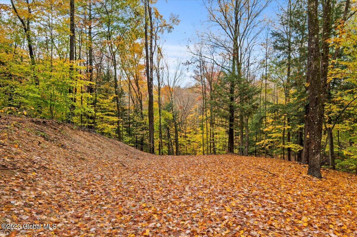 653 Strakos Road Wilton, NY 12833 - Photo 29 of 34 32-FJD_5456