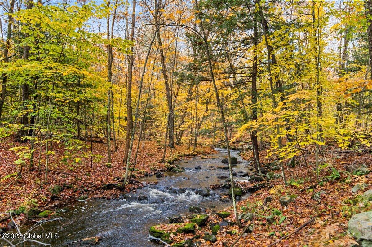 653 Strakos Road Wilton, NY 12833 - Photo 31 of 34 36-FJD_5468