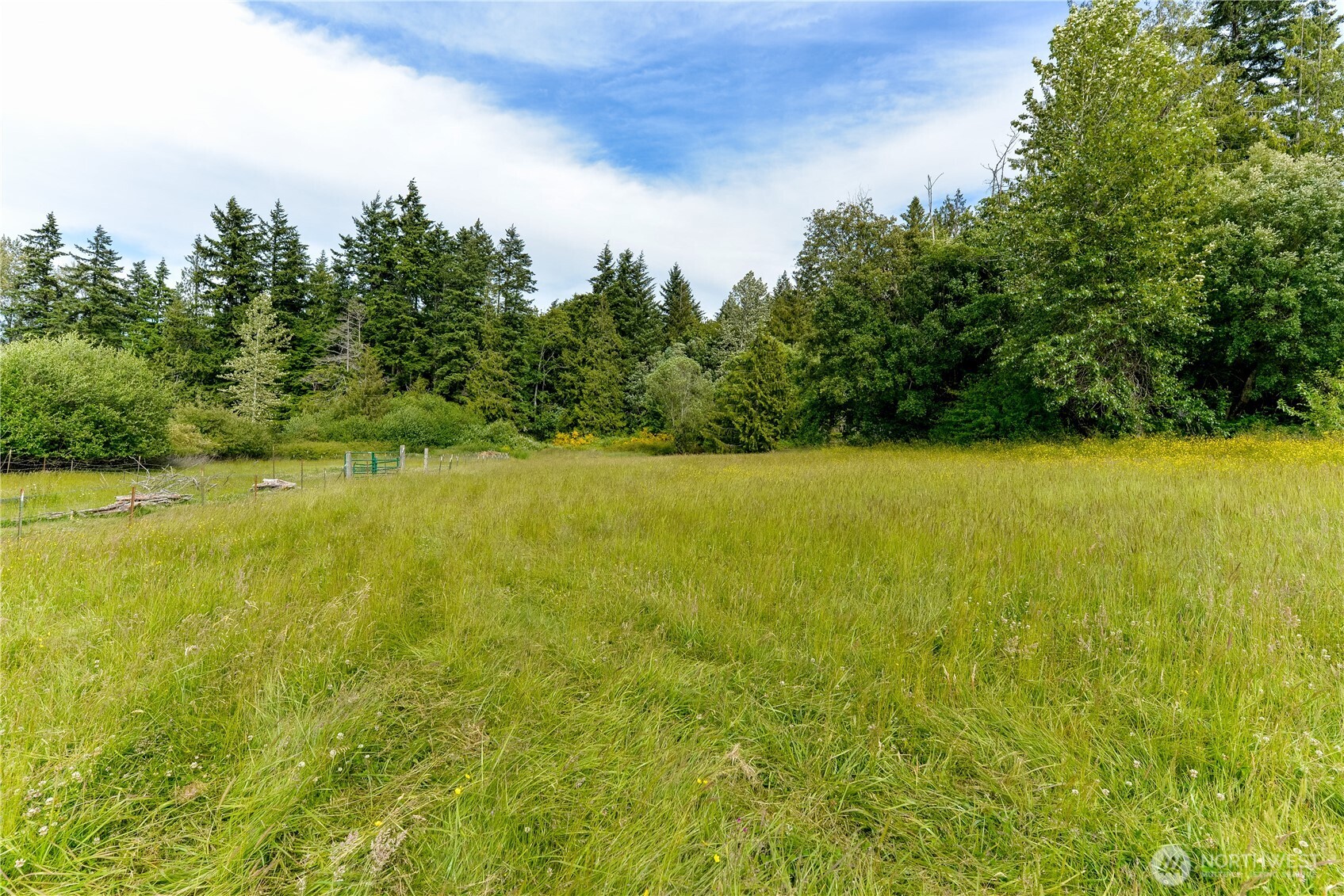 4109 South Reddick Road Port Angeles, WA 98363 - Photo 35 of 38 a view of yard with swimming pool and trees in the background