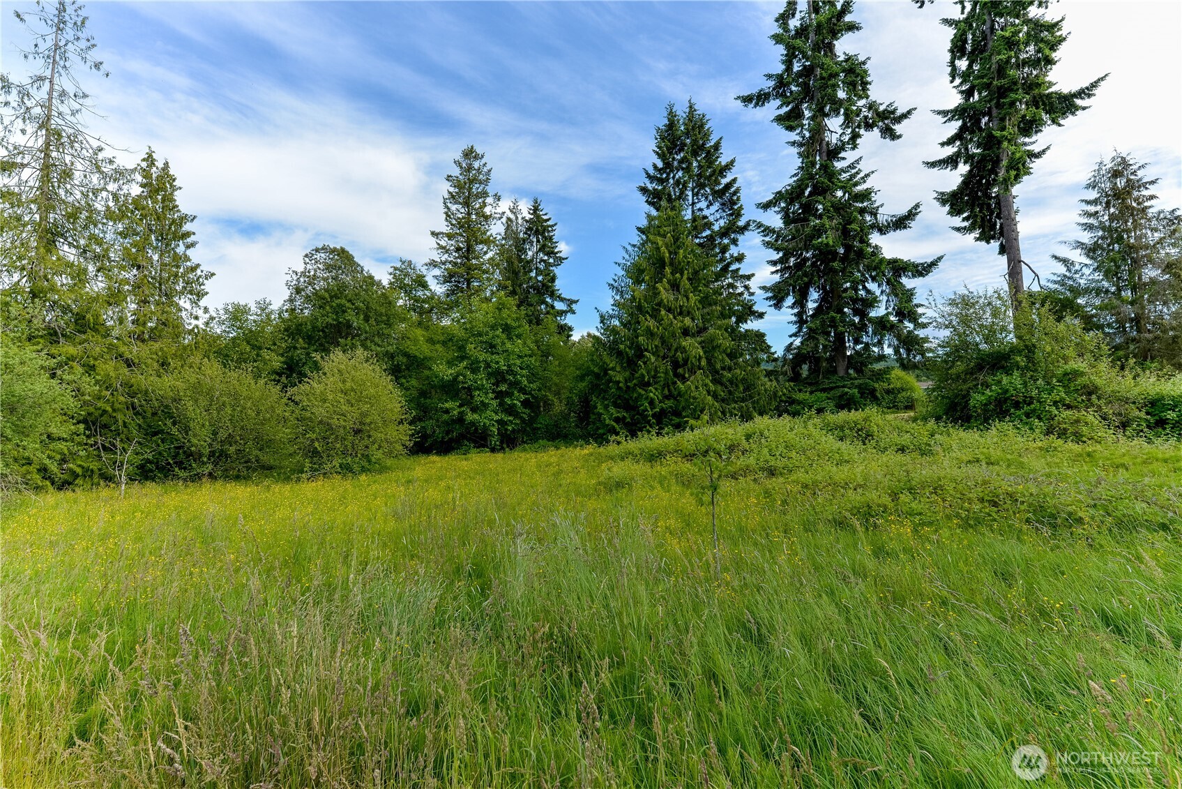 4109 South Reddick Road Port Angeles, WA 98363 - Photo 36 of 38 a view of yard with green space