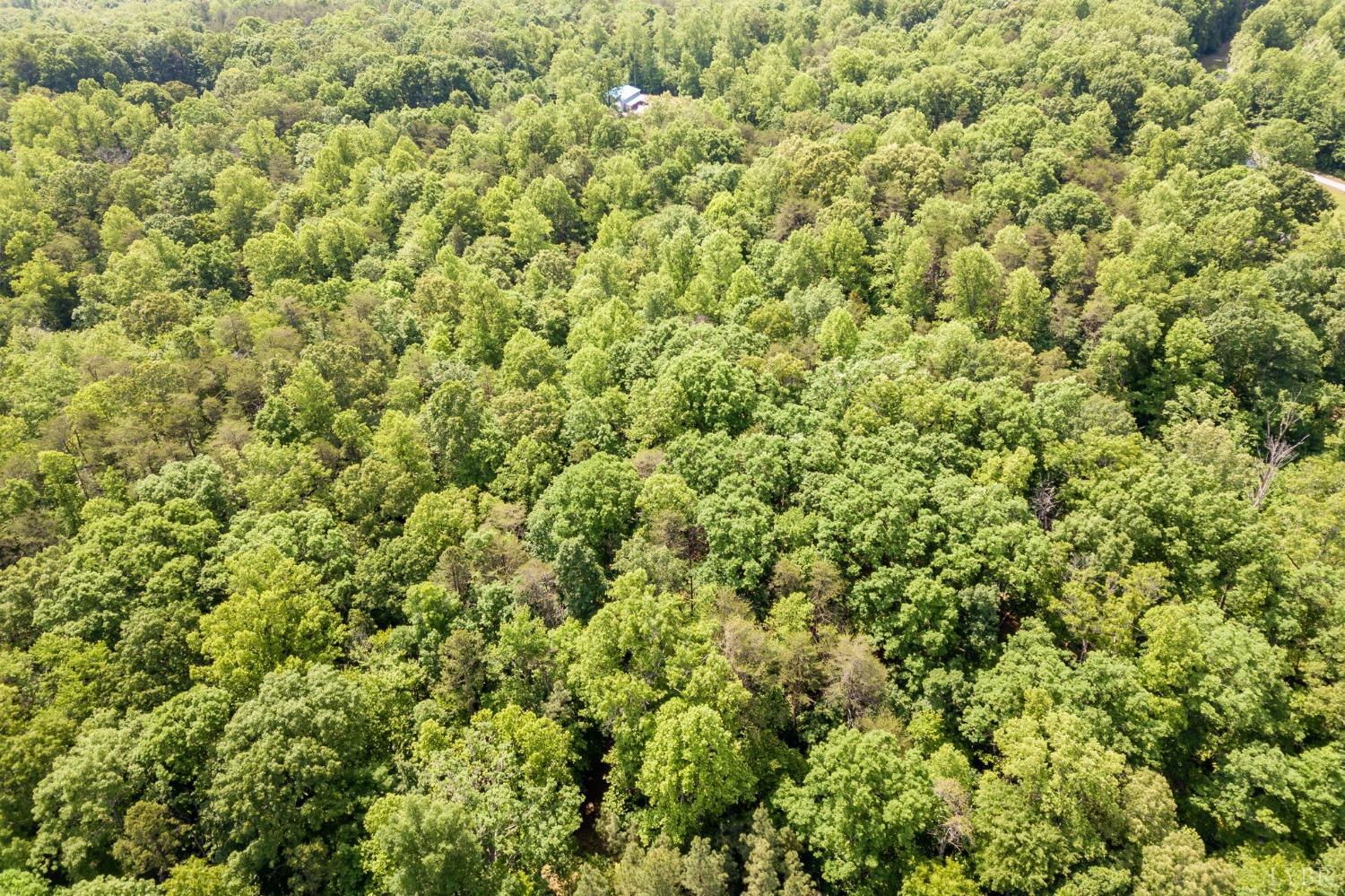 0 Lot 4 Burning Tree Lane Rustburg, VA 24588 - Photo 12 of 15 a view of a green field
