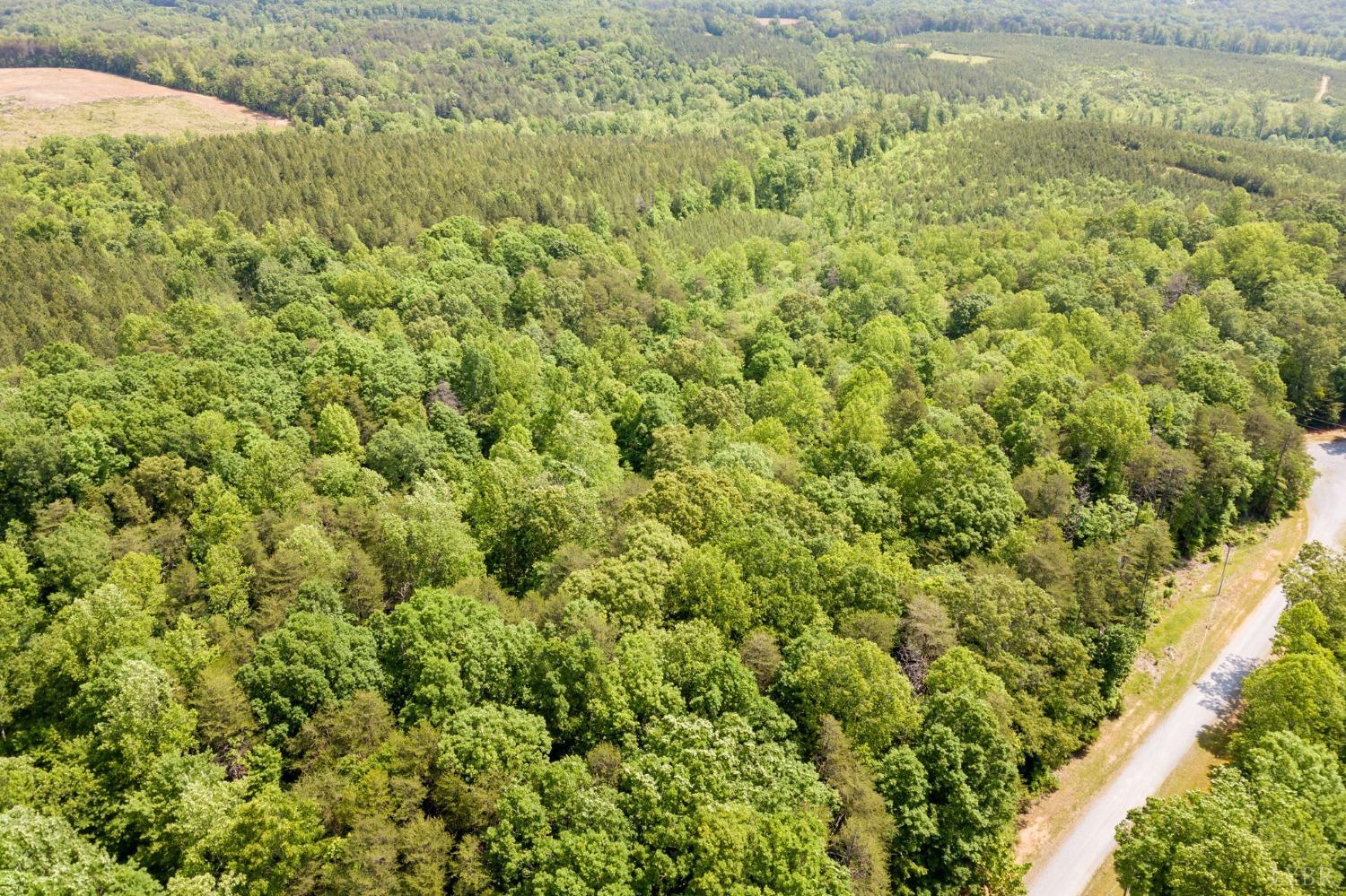 0 Lot 4 Burning Tree Lane Rustburg, VA 24588 - Photo 2 of 15 a view of a big yard with plants and large trees