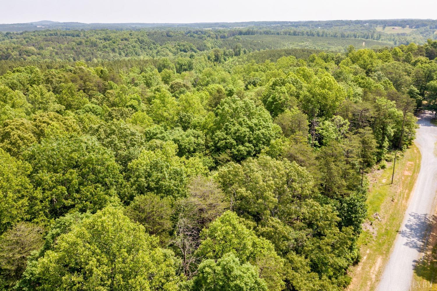 0 Lot 4 Burning Tree Lane Rustburg, VA 24588 - Photo 3 of 15 a view of a field with an ocean view