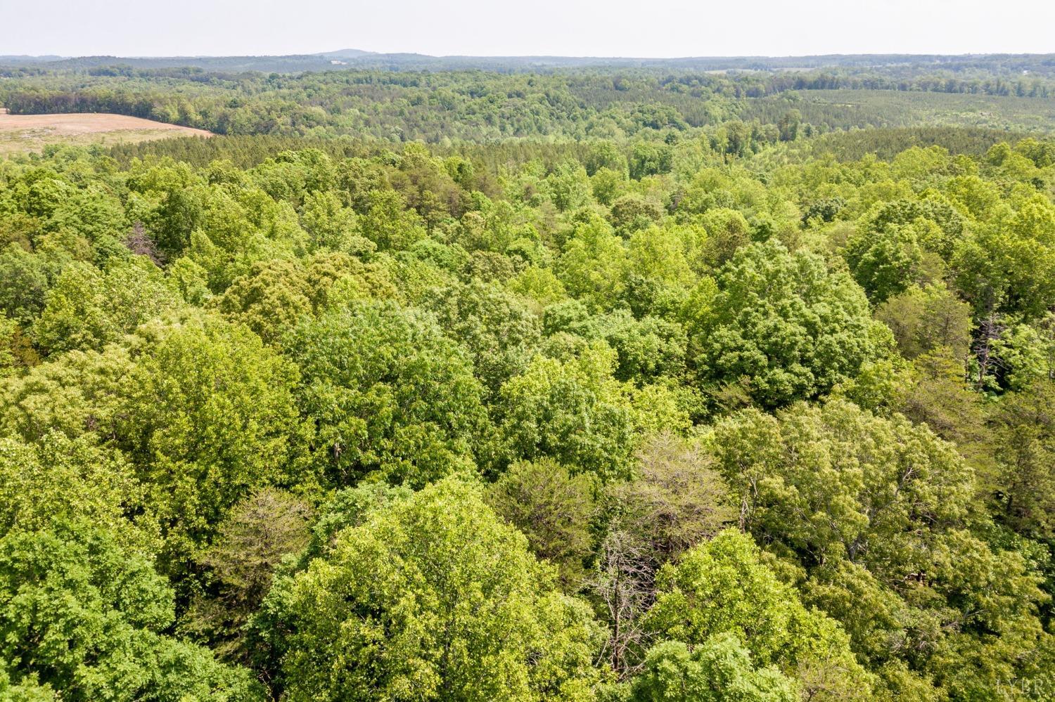 0 Lot 4 Burning Tree Lane Rustburg, VA 24588 - Photo 4 of 15 a view of a green field with lots of bushes