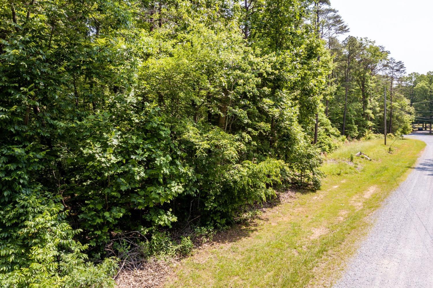0 Lot 4 Burning Tree Lane Rustburg, VA 24588 - Photo 5 of 15 a view of a yard with trees in the background
