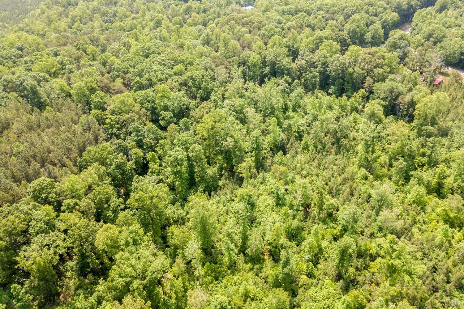 0 Lot 4 Burning Tree Lane Rustburg, VA 24588 - Photo 6 of 15 a view of a big yard with plants and large trees