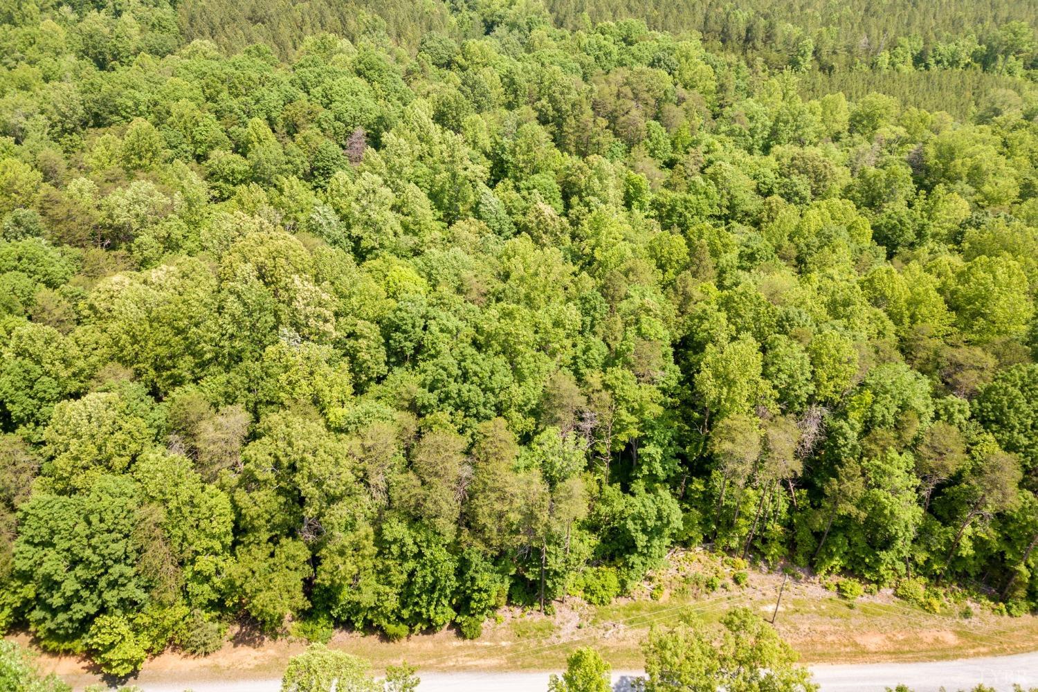0 Lot 4 Burning Tree Lane Rustburg, VA 24588 - Photo 9 of 15 a view of a yard with wooden floor