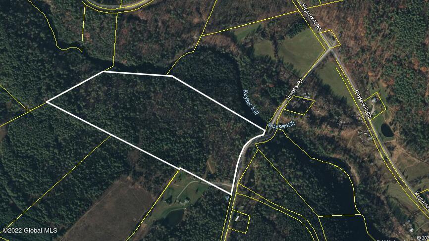 1181 Guinea Road Fulton, NY 12122 - Photo 18 of 18 aerial map