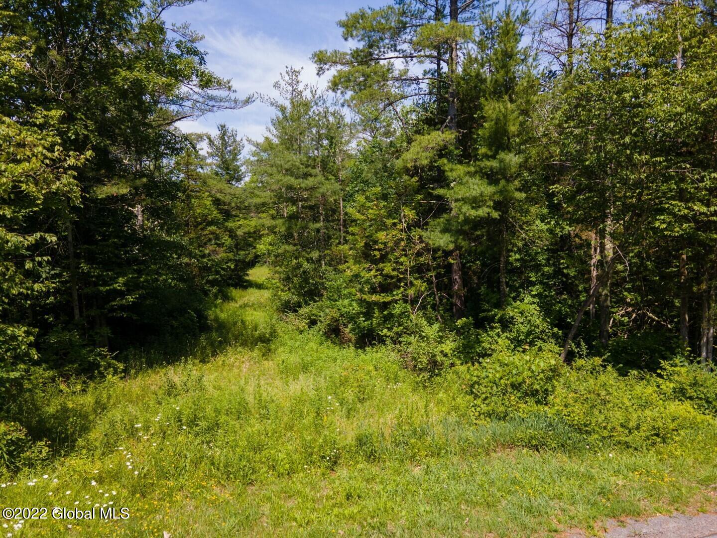 1181 Guinea Road Fulton, NY 12122 - Photo 5 of 18 4-web-or-mls-1181GuineaRd-4