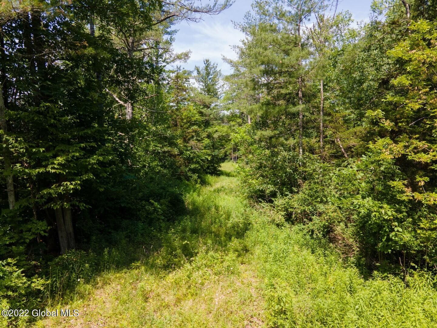 1181 Guinea Road Fulton, NY 12122 - Photo 6 of 18 5-web-or-mls-1181GuineaRd-5
