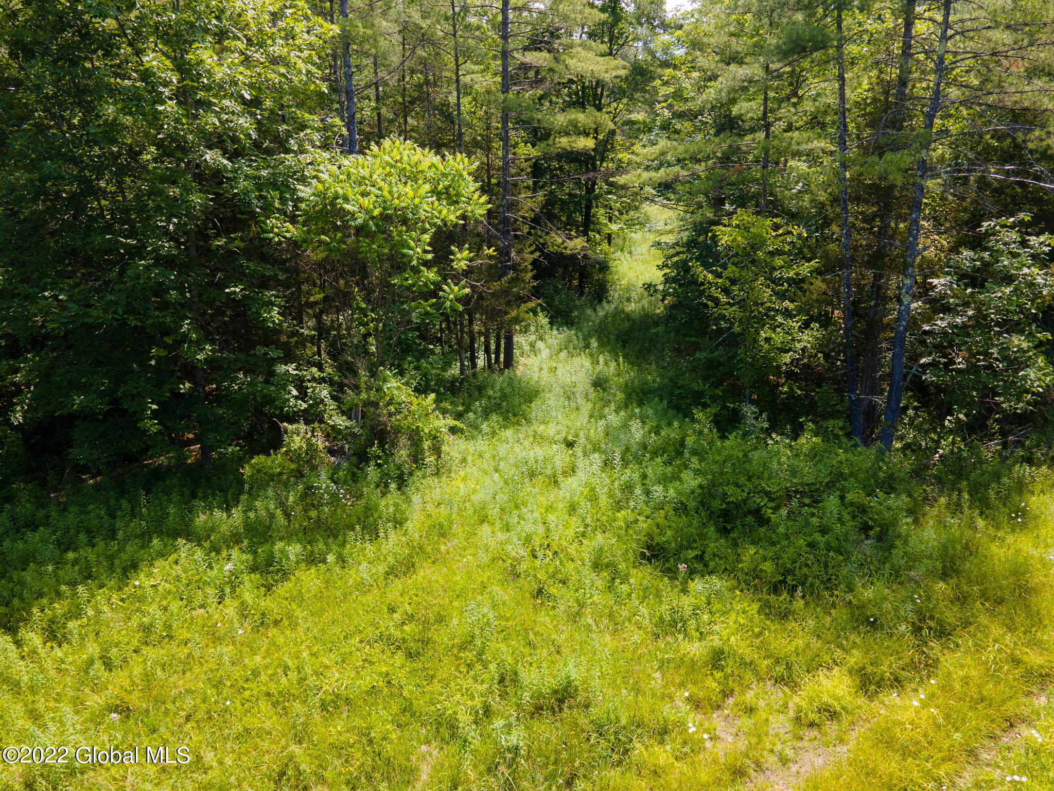 1181 Guinea Road Fulton, NY 12122 - Photo 9 of 18 8-web-or-mls-1181GuineaRd-8