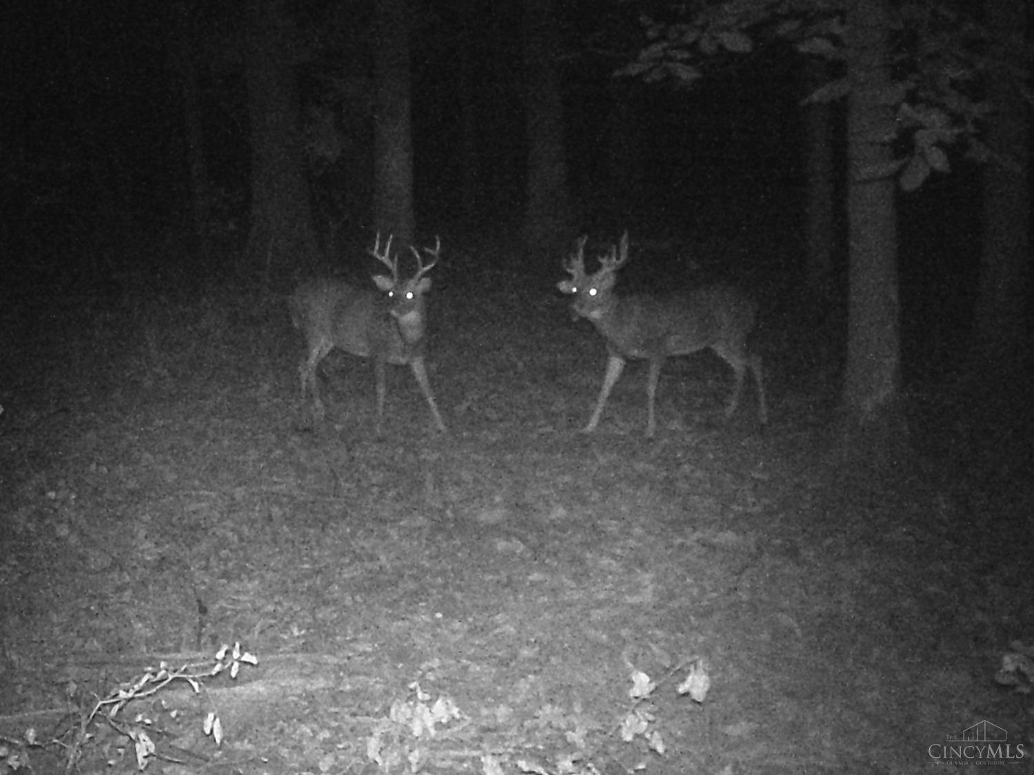 3526 Starling Road Bethel, OH 45106 - Photo 14 of 21