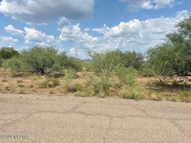 1857 Tijuana Court, Unit 93 Rio Rico, AZ 85648 - Photo 5 of 5