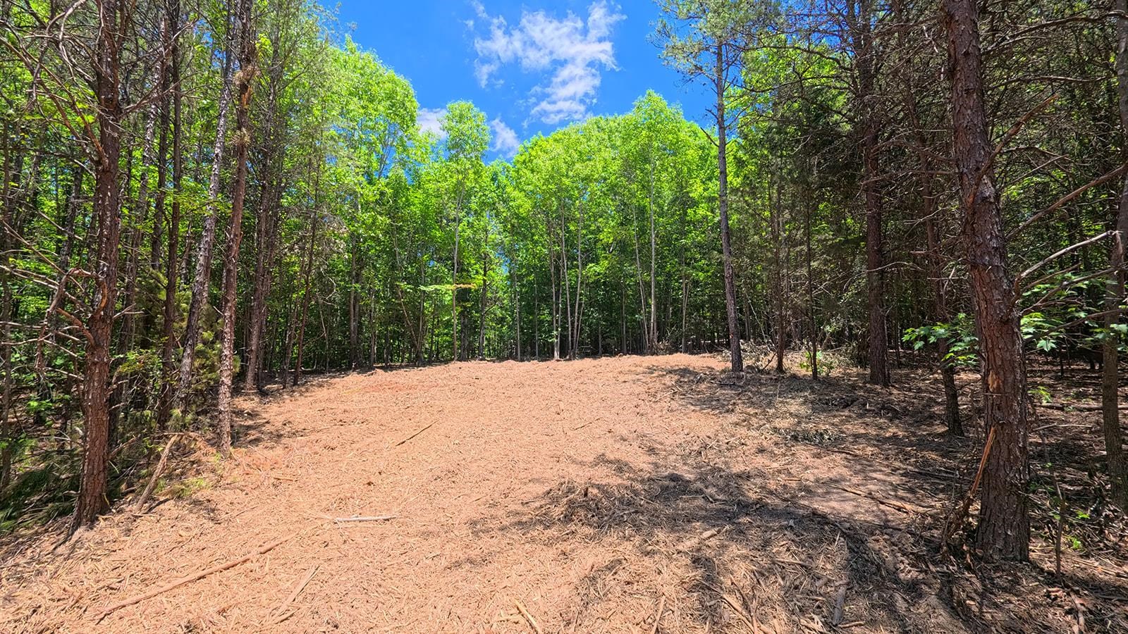 2109 Riddle Road Pauline, SC 29374 - Photo 14 of 14