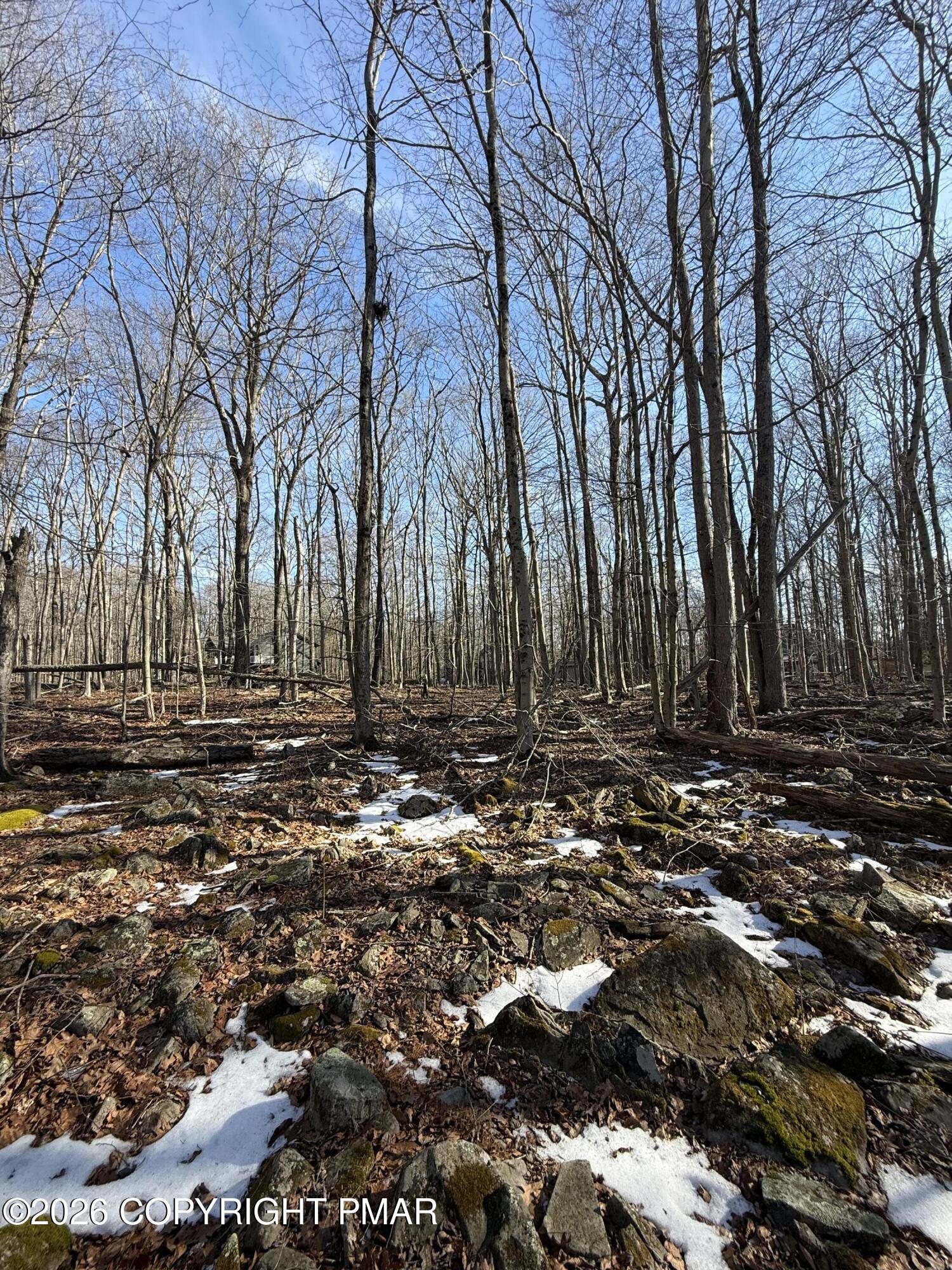 803 Selig Road Pocono Lake, PA 18347 - Photo 2 of 8 a view of outdoor space with trees