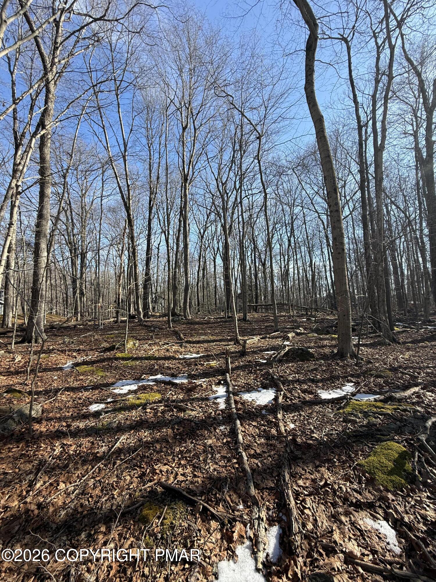 803 Selig Road Pocono Lake, PA 18347 - Photo 6 of 8 a view of outdoor space with trees