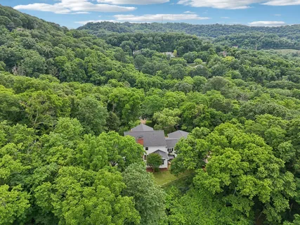 a view of a lush green forest with trees and houses
